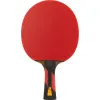 Ракетка для н/т DOUBLE FISH 7A+C, для професс.,ITTF Appr.,накл.2,1мм,+ 2 мяча V40+мм ITTF Appr за 3&nbsp;559.80 ₽ купить в Мурманске