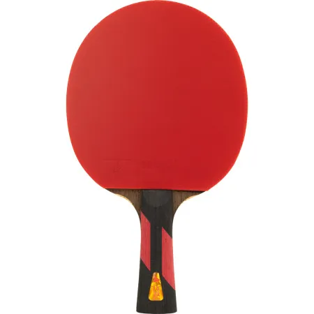 Ракетка для н/т DOUBLE FISH 7A+C, для професс.,ITTF Appr.,накл.2,1мм,+ 2 мяча V40+мм ITTF Appr за 3&nbsp;559.80 ₽ купить в Мурманске