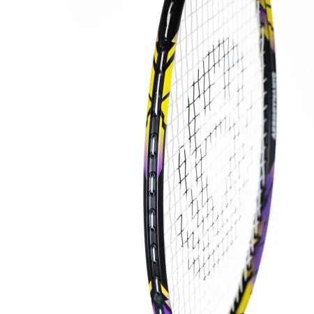 Ракетка бадм. TORRES Carbon PRO6, BD20521,для продв., стерж/обод из карбона,со струнами, фиол за 4&nbsp;477.80 ₽ купить в Мурманске