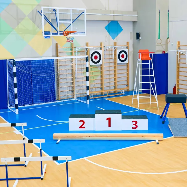 Щит для метания навесной на шведскую стенку (фанера) 700х700 ZAVODSPORTA за 8&nbsp;960 ₽ в Мурманске