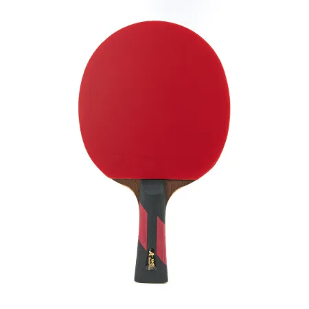 Ракетка для н/т DOUBLE FISH 7A+C, для професс.,ITTF Appr.,накл.2,1мм,+ 2 мяча V40+мм ITTF Appr за 3&nbsp;559.80 ₽ купить в Мурманске