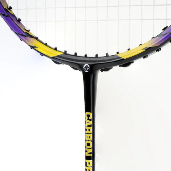 Ракетка бадм. TORRES Carbon PRO6, BD20521,для продв., стерж/обод из карбона,со струнами, фиол за 4&nbsp;477.80 ₽ в Мурманске