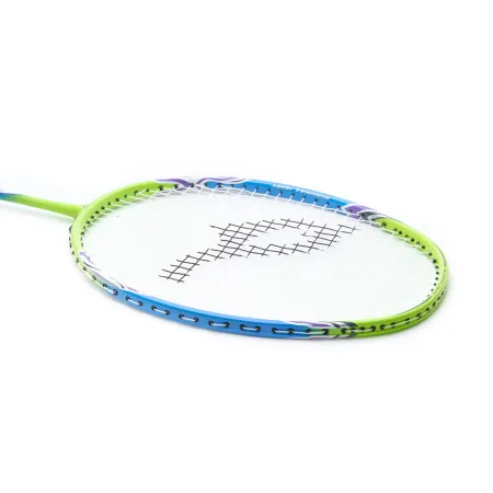 Ракетка для бадм. DOUBLE FISH JINQUE QT-1601, для продвинутых,карбон со струнами,литая,голубой за 3&nbsp;015.80 ₽ купить в Мурманске